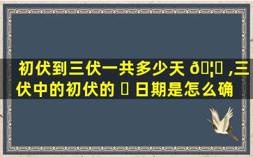 初伏到三伏一共多少天 🦄 ,三伏中的初伏的 ☘ 日期是怎么确定的